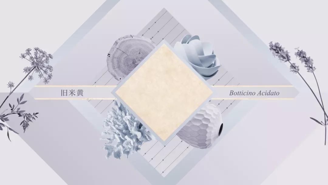 ÃÀ²Ê¹ú¼Ê(Öйú)ÓÐÏÞ¹«Ë¾