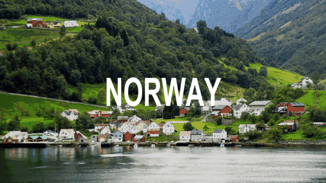 ���ʹ���(�й�)���޹�˾