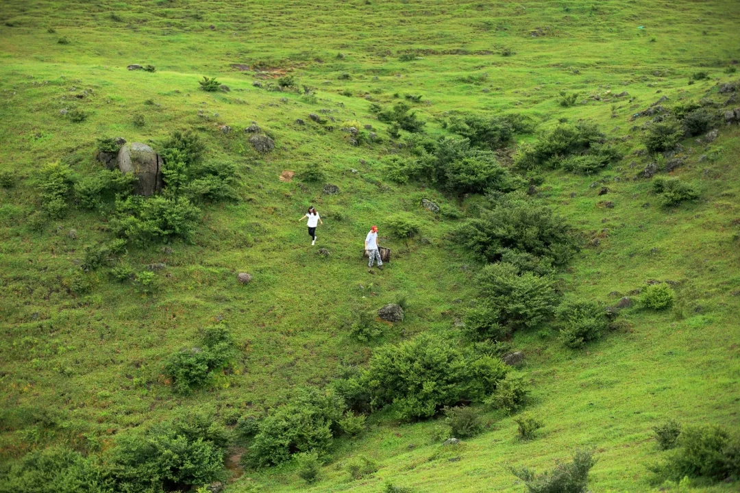 ���ʹ���(�й�)���޹�˾