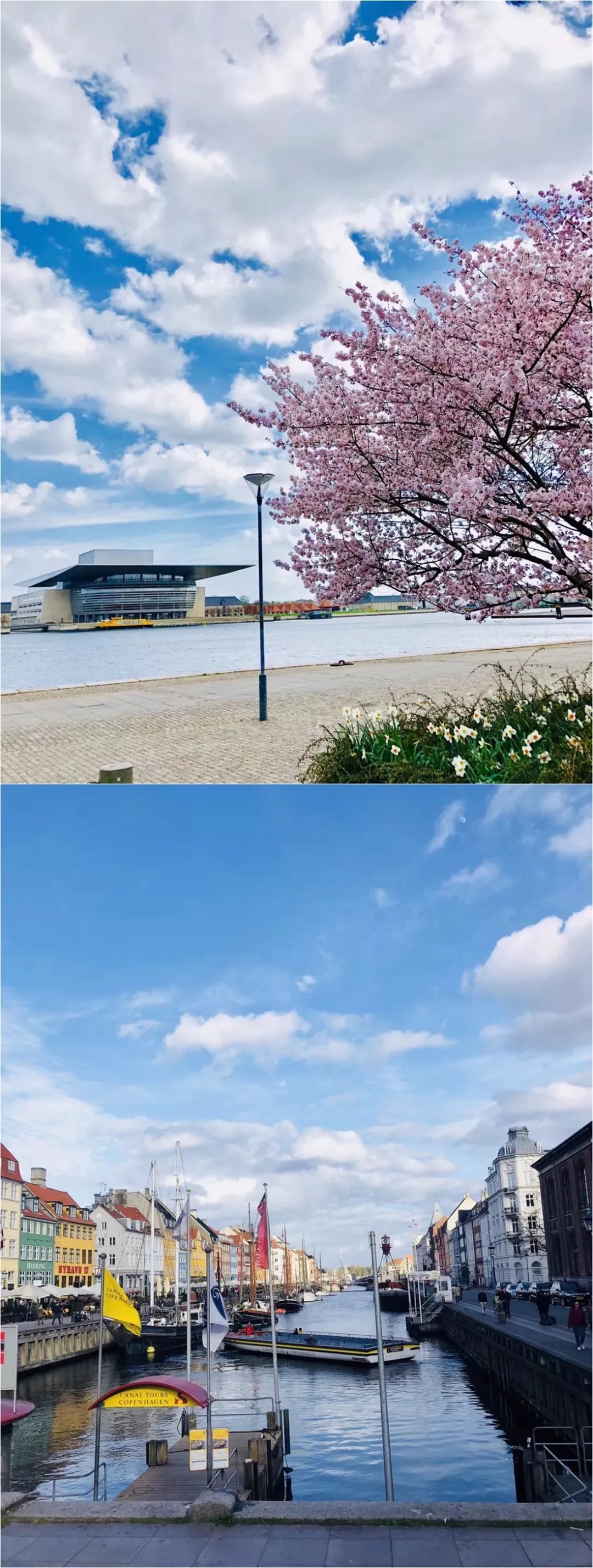 ���ʹ���(�й�)���޹�˾