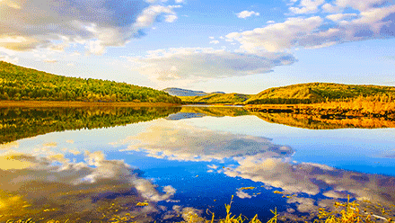 ���ʹ���(�й�)���޹�˾