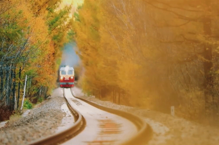 ���ʹ���(�й�)���޹�˾