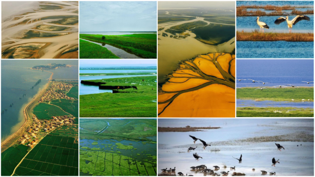 ÃÀ²Ê¹ú¼Ê(Öйú)ÓÐÏÞ¹«Ë¾