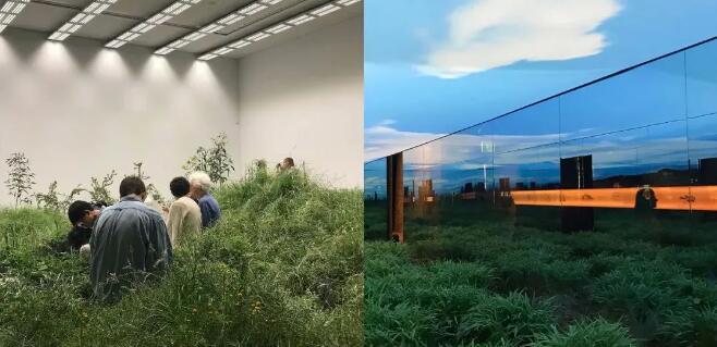 ���ʹ���(�й�)���޹�˾