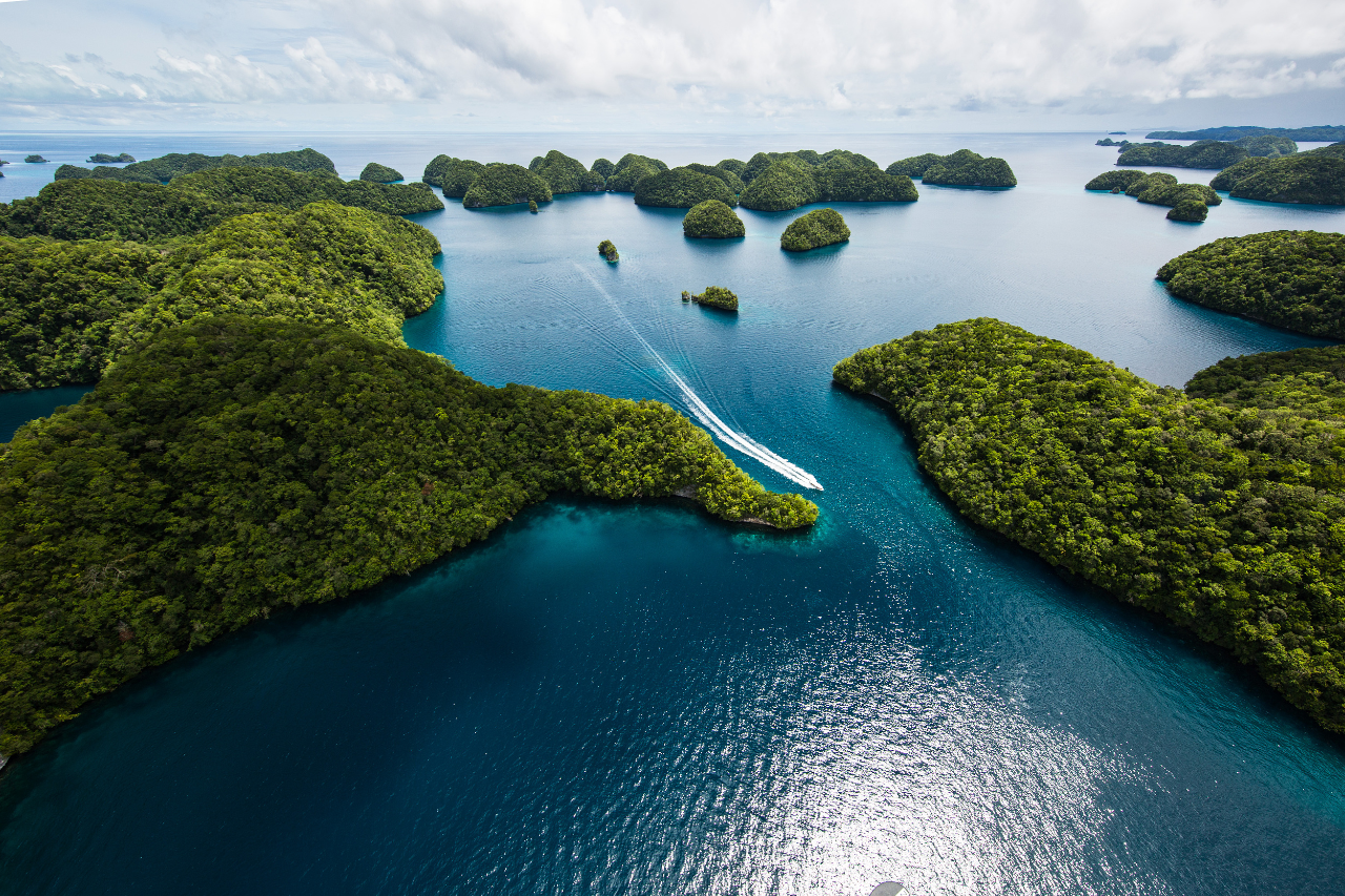 ���ʹ���(�й�)���޹�˾