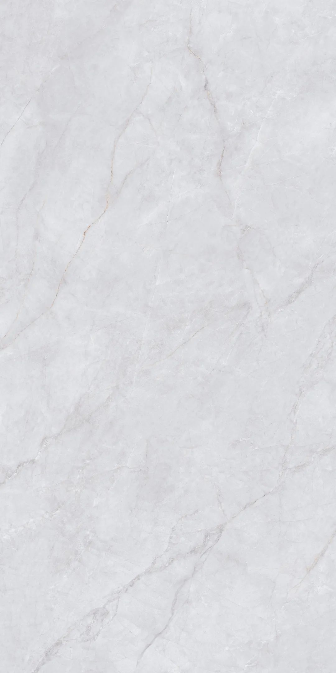 ���ʹ���(�й�)���޹�˾