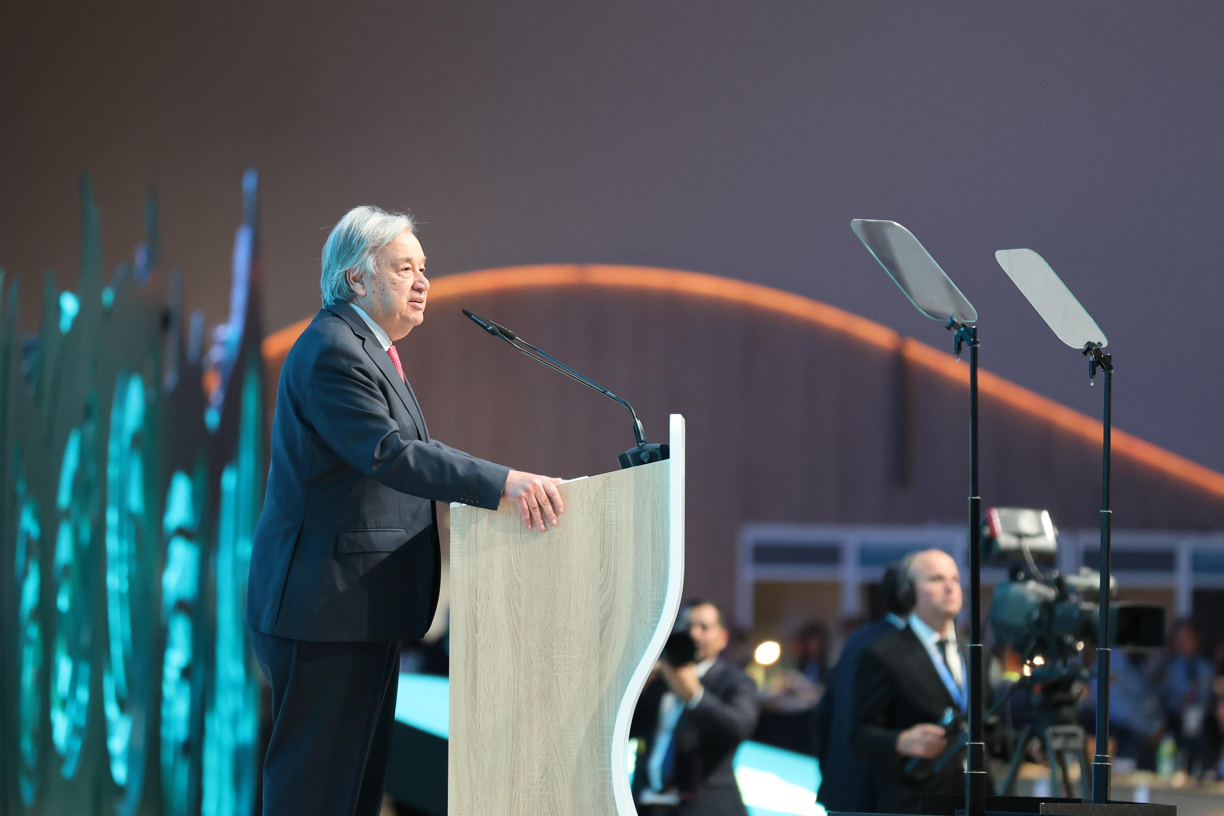 ���ʹ���(�й�)���޹�˾