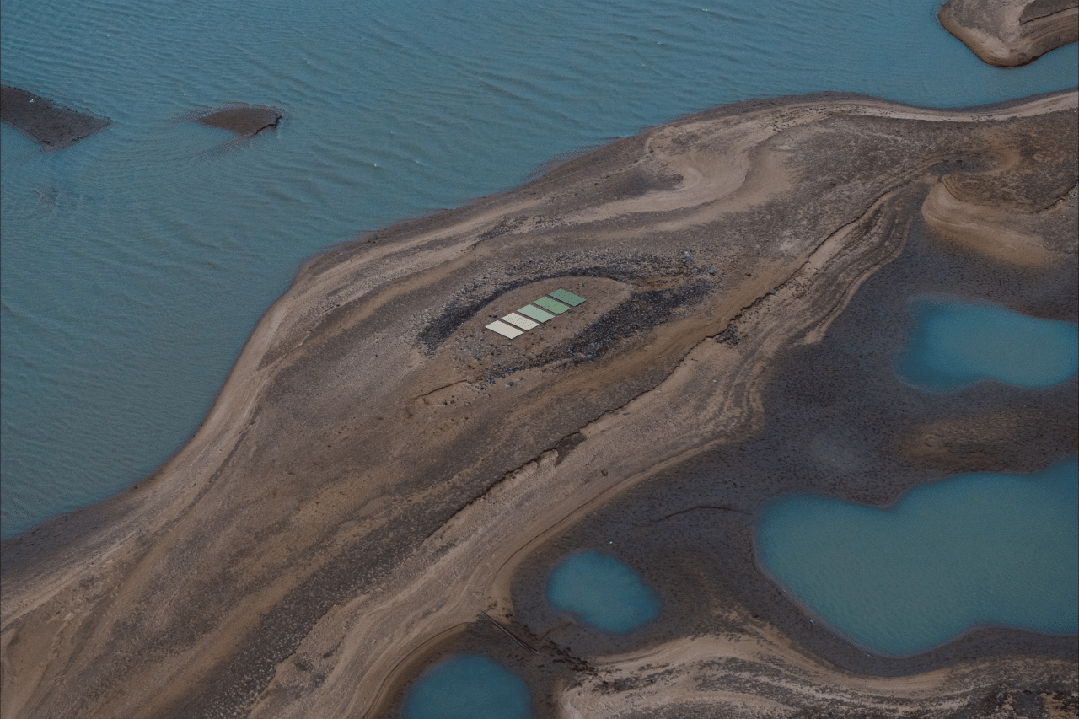 ���ʹ���(�й�)���޹�˾