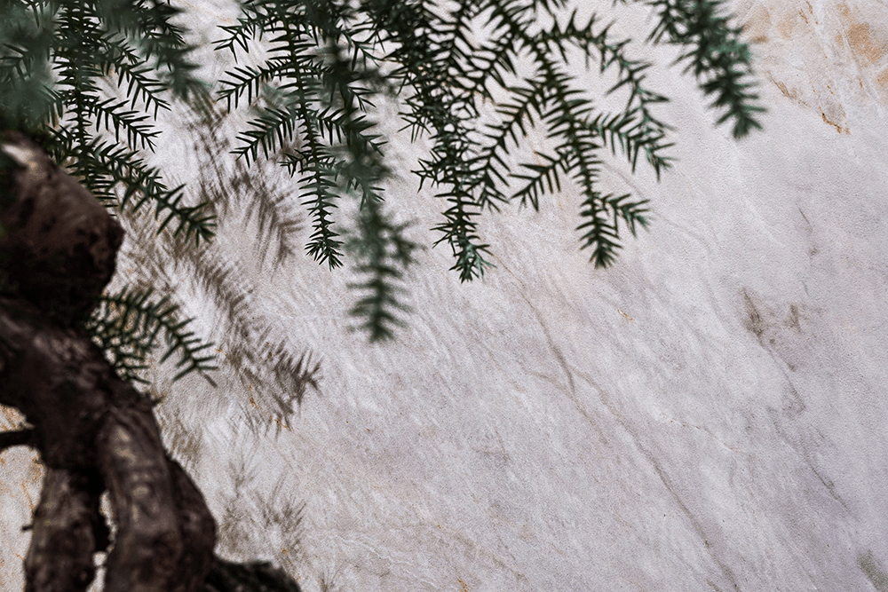 ÃÀ²Ê¹ú¼Ê(Öйú)ÓÐÏÞ¹«Ë¾